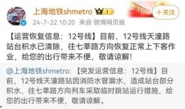 最新地铁爆料新闻视频下载,揭秘最新爆料视频背后的秘密与进展